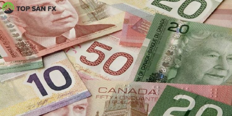 Đổi tiền Canada sang tiền Việt