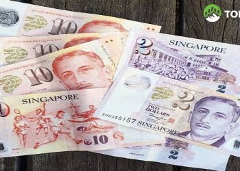 Đổi tiền Singapore sang tiền Việt