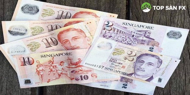 Đổi tiền Singapore sang tiền Việt