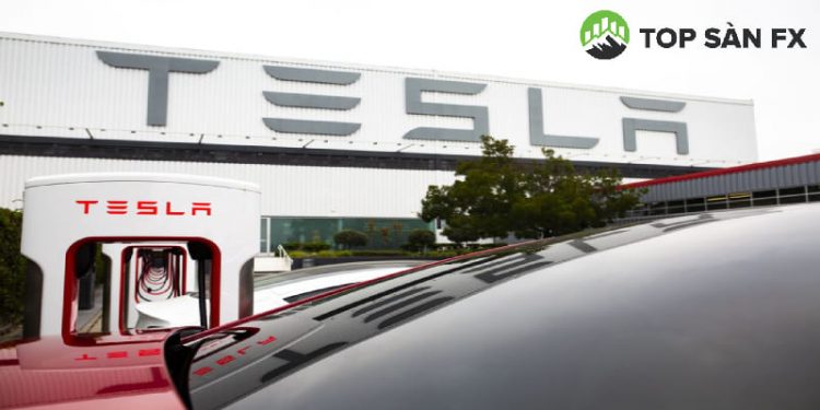 Cổ phiếu Tesla có năm tồi tệ nhất trong lịch sử
