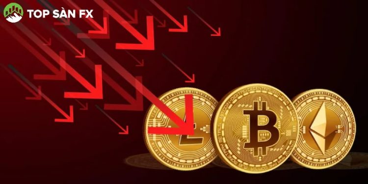 Crypto vượt qua thời kỳ tồi tệ