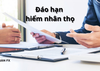 Đáo hạn bảo hiểm nhân thọ và những điều cần lưu ý khi đáo hạn