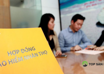 Tra cứu hợp đồng bảo hiểm nhân thọ