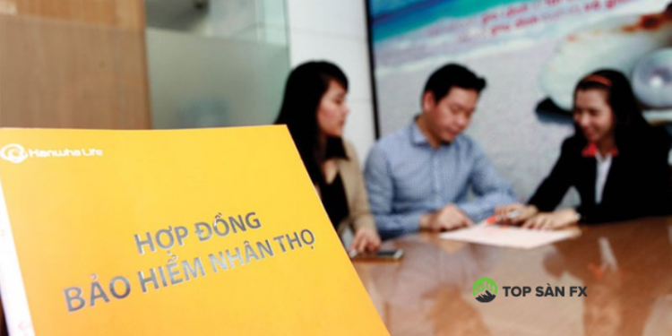 Tra cứu hợp đồng bảo hiểm nhân thọ