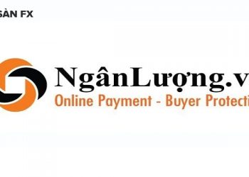 Ví ngân lượng là gì?