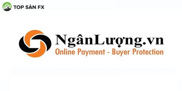 Ví ngân lượng là gì?