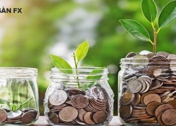 Bảo hiểm sinh kỳ là gì?