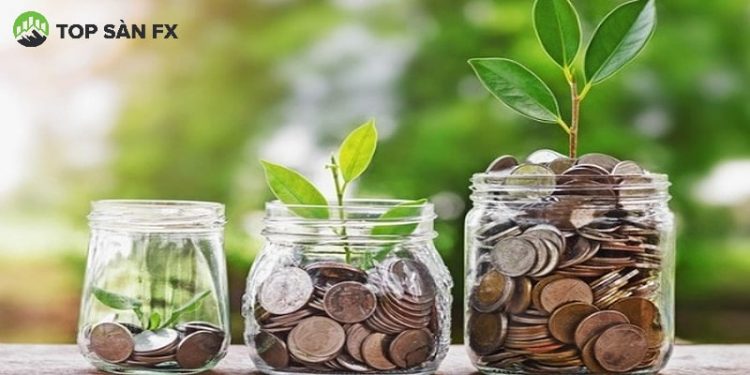 Bảo hiểm sinh kỳ là gì?