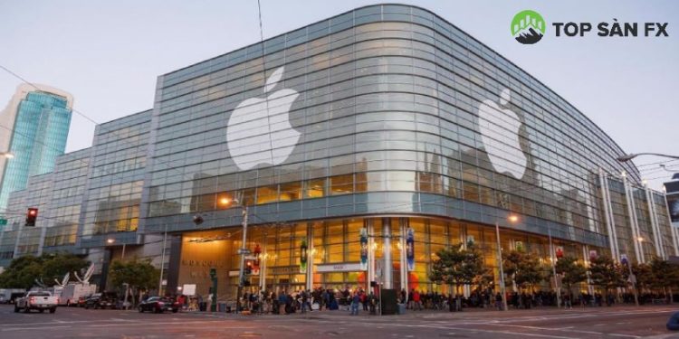 Các công ty lớn nộp thuế cho Việt Nam