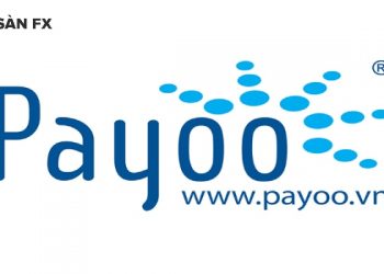 Ví Payoo là gì?
