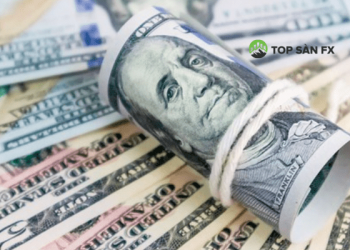 100 USD bằng bao nhiêu tiền Việt Nam?