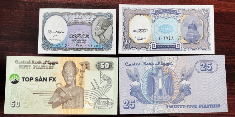 Đổi tiền Ai Cập