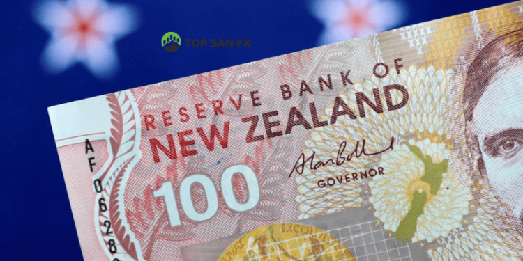 Tỷ giá New Zealand hôm nay. Đổi tiền New Zealand ở đâu?