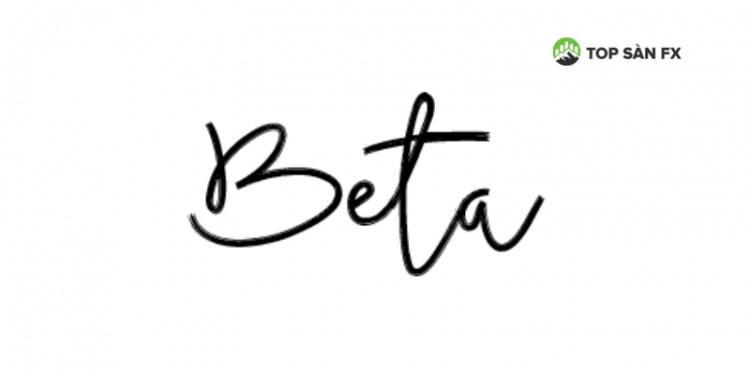 Hệ số Beta