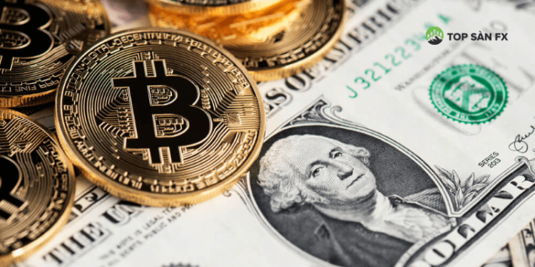 Bitcoin sẽ thay thế USD