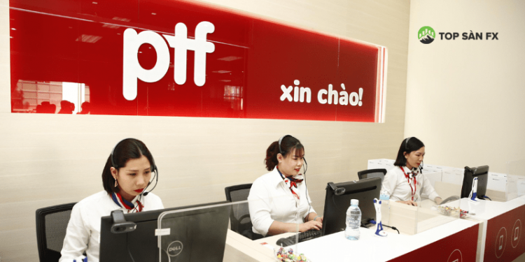 Vay tiền mặt tín chấp công ty tài chính PTF như thế nào?