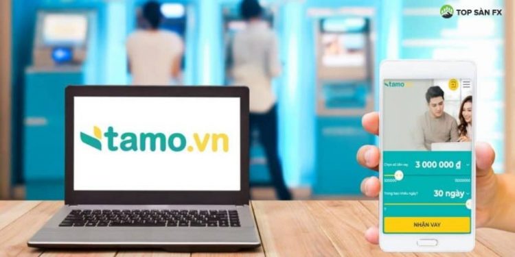 Tamo là gì?