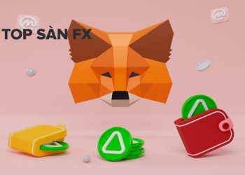 Cách thêm mạng Aurora vào ví Metamask