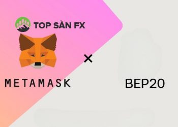 Thêm mạng BEP20 vào MetaMask