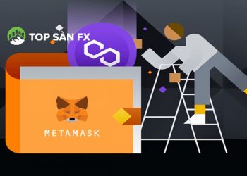 Cách thêm mạng Polygon vào Metamask nhanh chóng