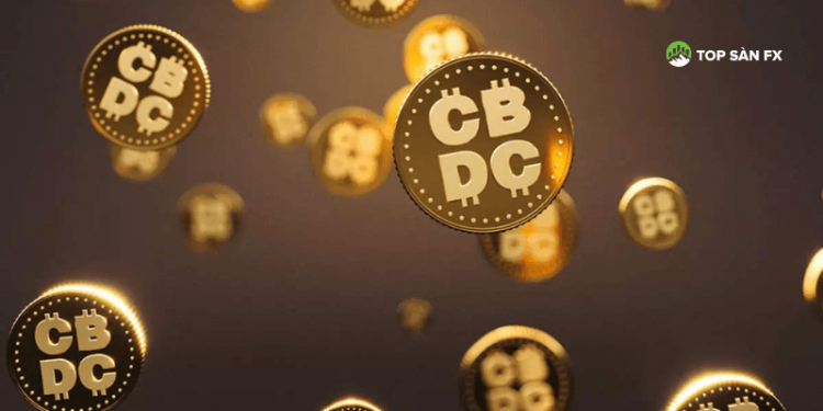 CBDC là gì? Chi tiết về tiền kỹ thuật số của Ngân hàng Trung ương