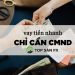 Lý do dịch vụ vay tiền nhanh được ưa chuộng