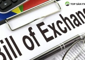 Hối phiếu là gì?