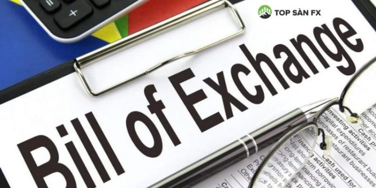 Hối phiếu là gì?