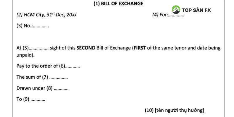 Chủ thể hưởng lợi trong Bill of Exchange