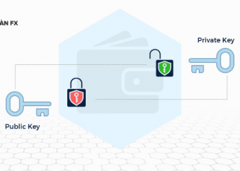 Private key và public key