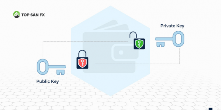 Private key và public key