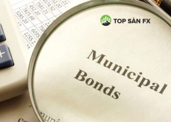 Trái phiếu địa phương là gì?