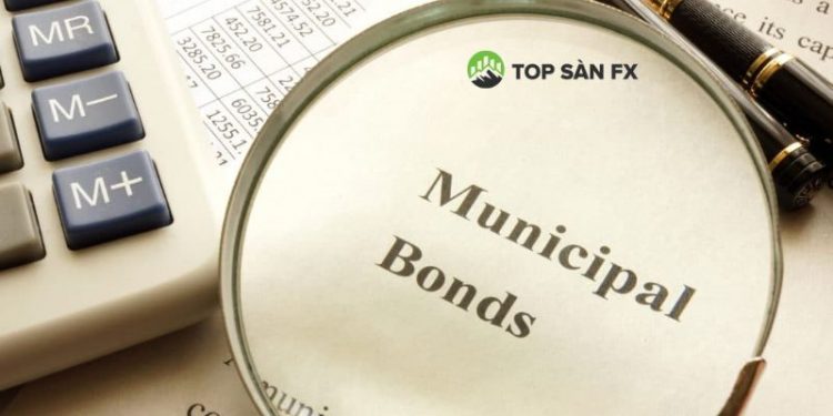 Trái phiếu địa phương là gì?