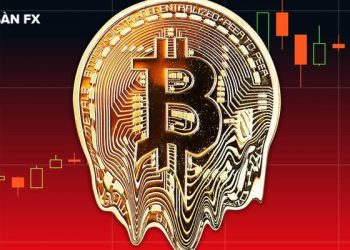 Crypto là nạn nhân giữa các mâu thuẫn phi tập trung và tập trung