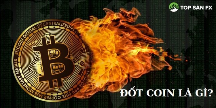 Đốt Coin là gì?