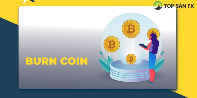 Những thách thức từ việc đốt coin 