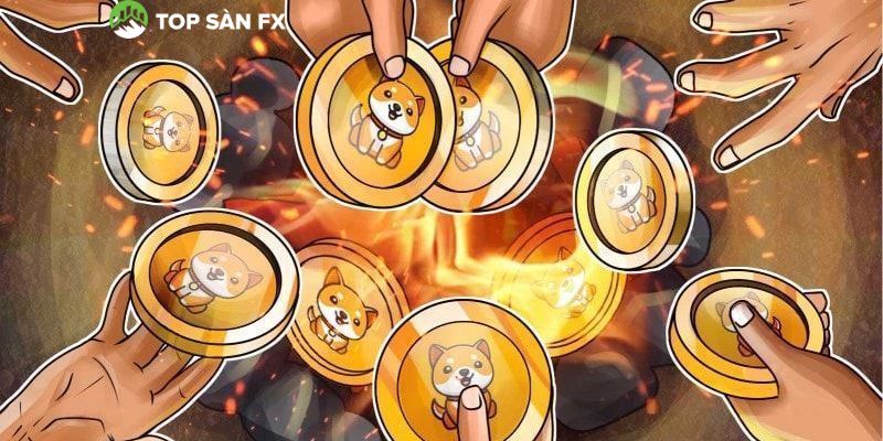 Những dự án Crypto sử dụng cơ chế đốt coin 