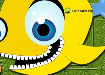 Fish Crypto là gì? Cách thêm Fish Crypto (FICO) vào MetaMask?