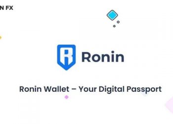 Ronin Wallet là gì? Cách chuyển SLP từ Binance sang Ronin