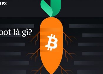 Taproot là gì? Những lợi ích mà Taproot đem lại cho Bitcoin