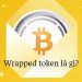 Wrapped token là gì?