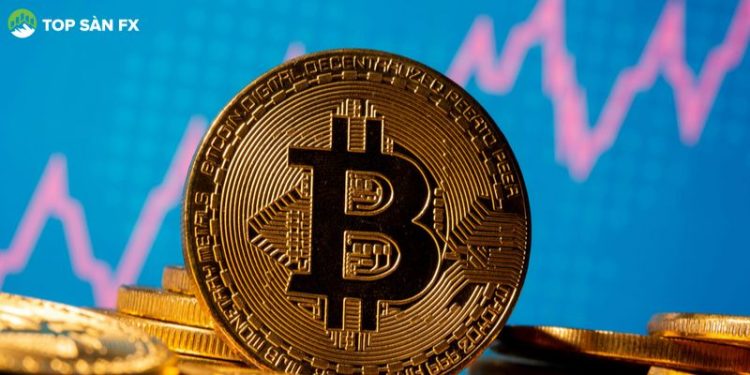 Tỷ lệ Bitcoin tăng mạnh