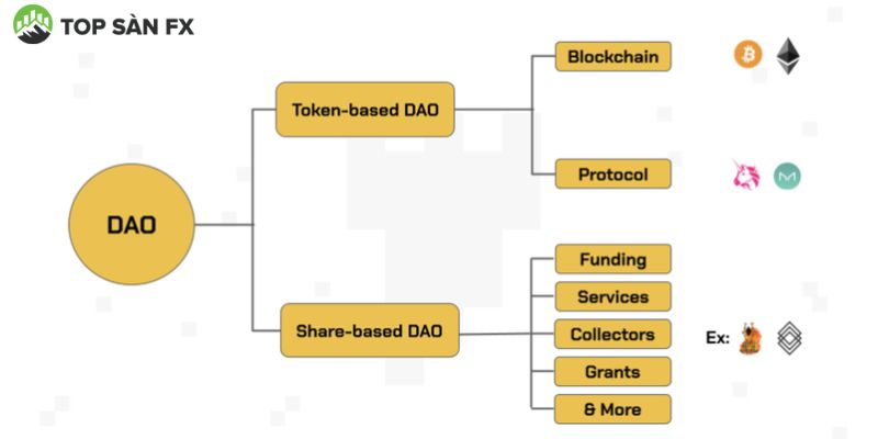 Các loại hình DAO hiện nay 