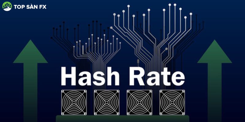 Hashrate là gì?