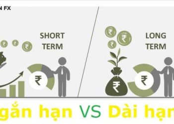 Vì sao đầu tư dài hạn hiệu quả hơn đầu tư ngắn hạn