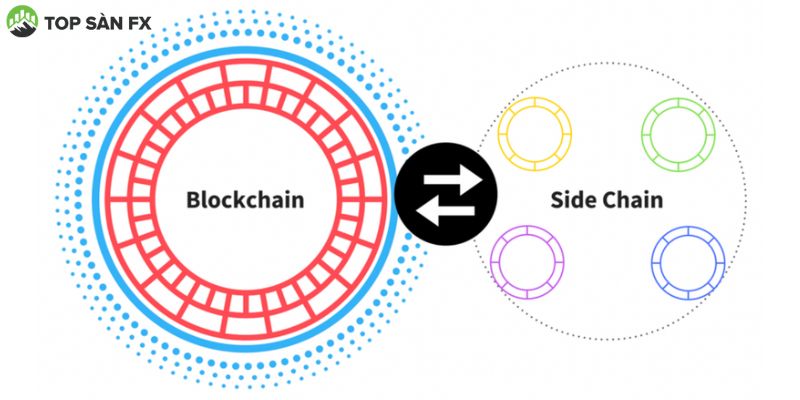 Sidechain là gì?