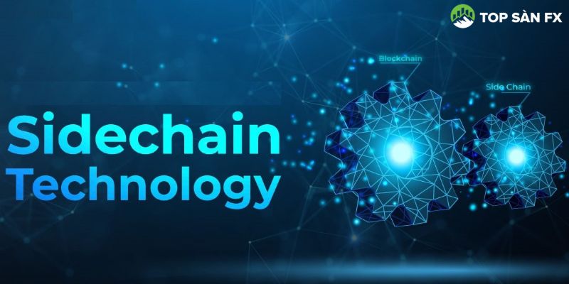 Nguyên tắc hoạt động của các Sidechain 