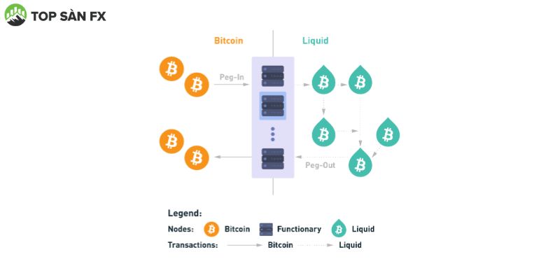 Các dự án Sidechain nổi bật nhất 