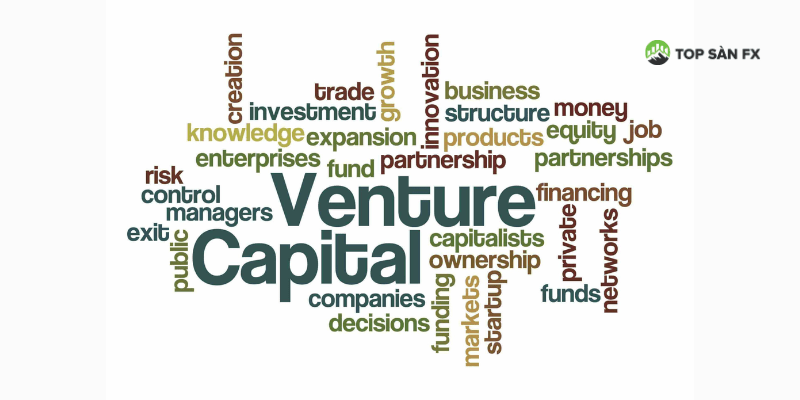 Venture Capital là gì?