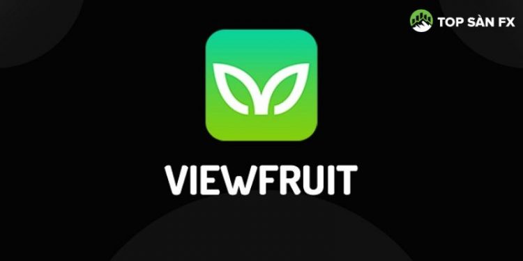 Khảo sát Viewfruit lừa đảo liệu có đúng sự thật hay không?